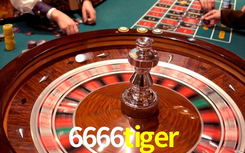 Experiência VIP 6666tiger