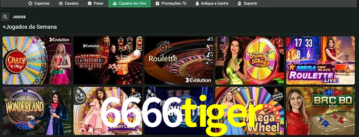 6666tiger bet