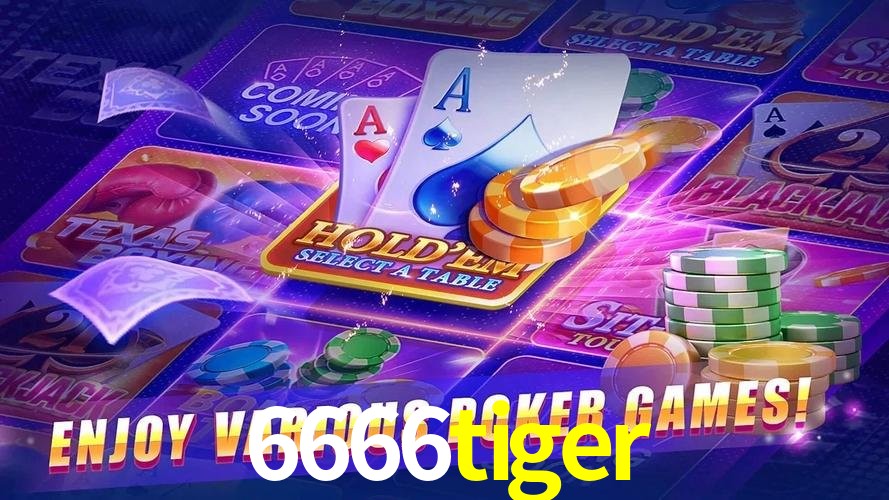 Bônus de Boas-vindas 6666tiger